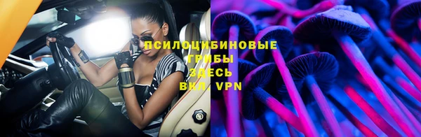 индика Балабаново
