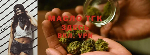 индика Балабаново