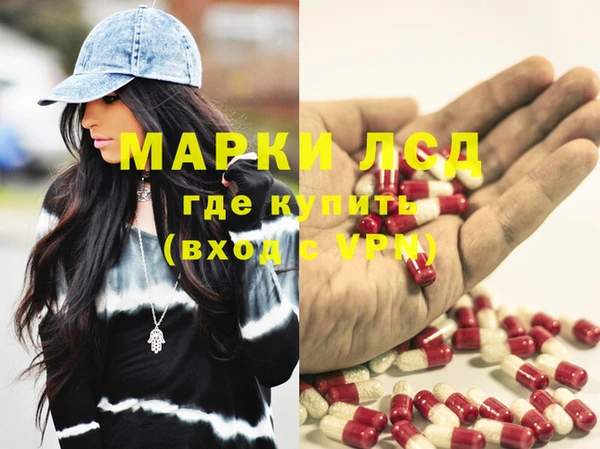 стаф Баксан