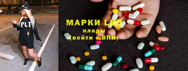 индика Балабаново